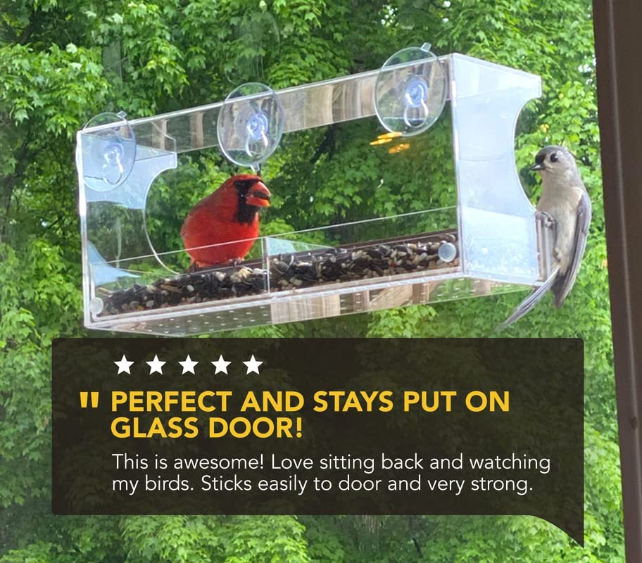 Clear Window Bird Feeders with Strong Suction Cups - Strong Suction Cup Bird Feeder - Window Clear Bird Feeders for Window - Bird Houses for Viewing - Big Bird Feeder for Outside - Image 2